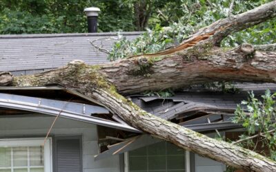 Trustworthy Storm Damage Restoration Company for Quick Restoration